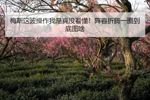 梅斯这波操作我是真没看懂！阵容折腾一圈到底图啥