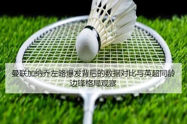 img_1781734461148_2705_1_896.jpg